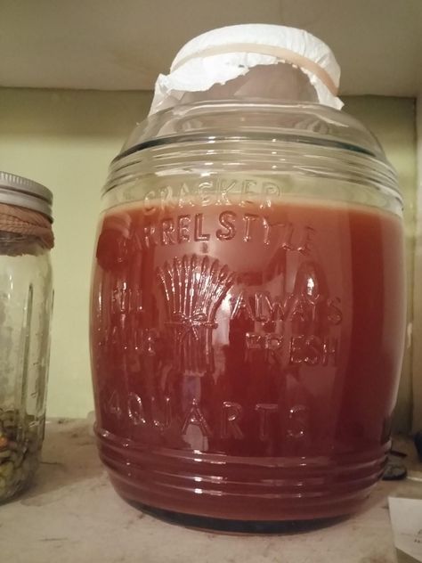 How to make Scoby without using kombucha as starter? | HomeBrewTalk.com - Beer, Wine, Mead, & Cider Brewing Discussion Community. Homemade Kombucha Scoby, How To Grow A Scoby From Scratch, How To Make Scoby, Alabama Crafts, Kombucha Starter, Ginger Bug, Kombucha Scoby, Homemade Kombucha, Ginger Lemonade