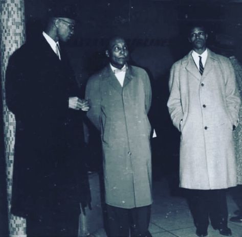 Bumpy Johnson, Minister Louis Farrakhan, Million Man March, Elijah Muhammad, Louis Farrakhan, American Boxer, Bookmarks Quotes, Tennessee State University, Human Rights Activists