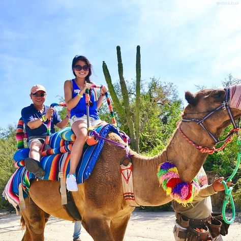 Fashion Outfit Ideas: Camel Rides in Cabo #BeInspireful // #outfitideas #ootd #fashion #travel #outfitinspo #outfitoftheday Camel Riding Outfit, Camel Ride Outfit, Camel Riding, Farm Landscape, Cabo Mexico, Insta Pics, Summer Inspo, Horror Music, Movie Genres