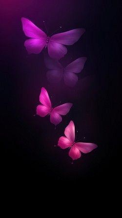 Abstract blurred gradient illustration butterflies | Free Photo Illustration - rawpixel Phone Wallpaper Dark, Dark Butterflies, Butterfly Phone Wallpaper, Illustration Butterflies, Blurred Gradient, Butterflies Purple, Gradient Illustration, Butterflies Wallpaper, About Butterfly