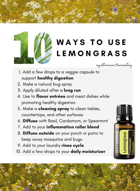 Uses For Lemongrass Essential Oil, Doterra Lemongrass Uses, Lemon Grass Essential Oil Benefits, Lemongrass Uses, Lemongrass Oil Benefits, Lemongrass Benefits, Lemongrass Essential Oil Benefits, Lemongrass Essential Oil Uses, Doterra Lemongrass