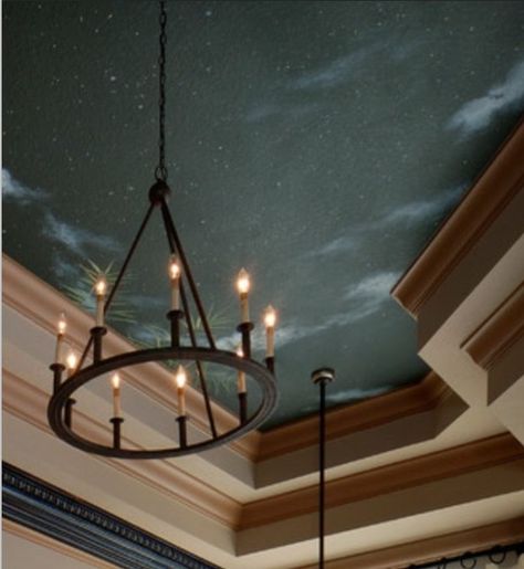 Night Sky Night Sky Ceiling, Sky Ceiling, Architectural Ideas, Ceiling Finishes, Basement Family Room, Romantic Bedroom, Sky Painting, Painted Ceiling, Coffered Ceiling