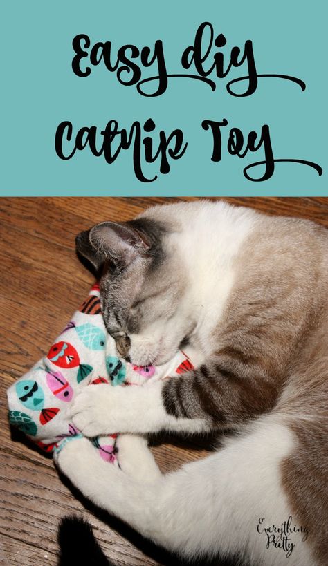 Diy Catnip Toys, Homemade Cat Toys, Diy Cat Toys, Catnip Cat Toy, Cats Diy Projects, Homemade Cat, Ideal Toys, Catnip Toys, Diy Cat