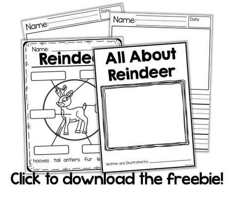 Reindeer Unit Kindergarten, Reindeer Day Kindergarten, Reindeer Activities First Grade, Reindeer Day Activities, Reindeer Activities For Kindergarten, Reindeer Day At School, Reindeer Kindergarten, Reindeer Writing Activities, Reindeer Writing