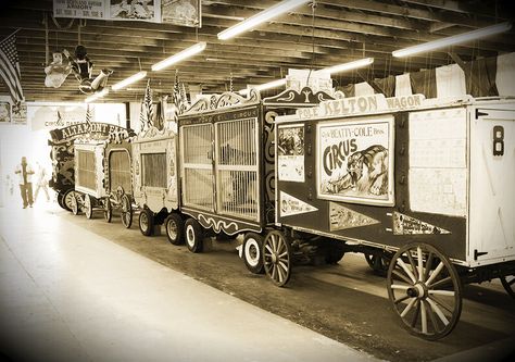 old circus train. photo: reebellion Carnival Prom, Circus Book, Random Reference, Old Circus, Train Photo, Vintage Circus Party, Scary Clown Makeup, Vintage Halloween Photos, Circus Train