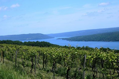 Canandaigua Lake, Wine Basket, Finger Lakes Ny, Keuka Lake, Seneca Lake, New York Vacation, The Finger Lakes, Colonial Times, New York Hotels