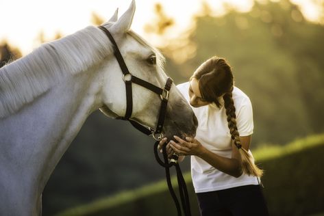 Therapeutic riding programs provide equine-based therapy to students facing physical, mental, or emotional challenges. Therapeutic Riding, Funny Horse Pictures, Starting A Daycare, Run In Shed, Horse Care Tips, Equine Therapy, Horse Therapy, Therapy Animals, Horseback Rider