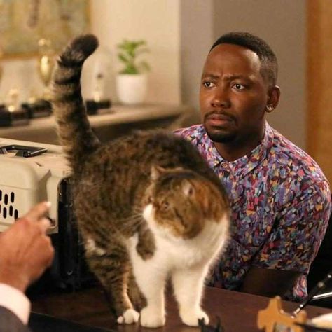 New Girl Winston, Winston New Girl, New Girl Memes, New Girl Show, Winston Bishop, Cat Allergy, Max Greenfield, Nick And Jess, Fox Images