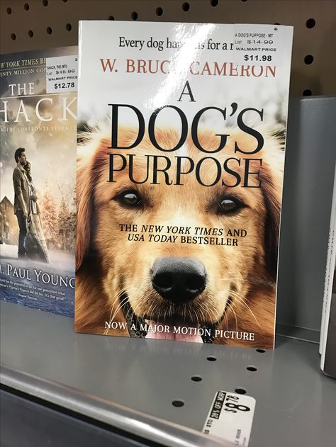 A Dog's Purpose, A Dog's Journey, A Dogs Purpose, Book Genre, Digital Reading, Dog Books, Movies 2016, Mass Market, Fiction Novels