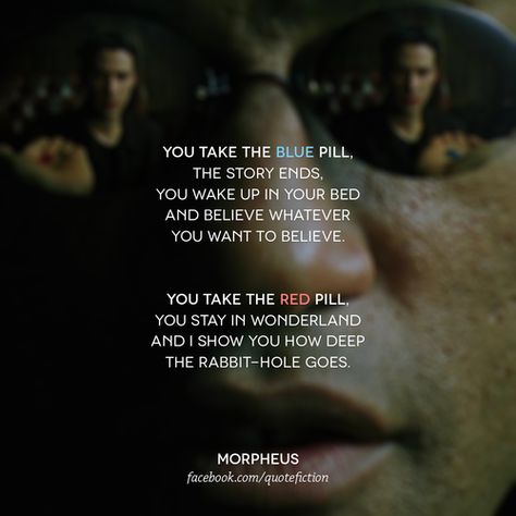 ... The Matrix Quotes, The Matrix Is Real, Matrix Quotes, The Matrix 1999, Matrix 1999, The Matrix Movie, Keanu Reeves Quotes, Matrix Reloaded, Glitch In The Matrix