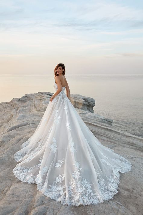 Wedding Dress Princess Ballgown, Tulle Wedding Dress Ballgown, Cathedral Length Wedding Dress, Wedding Gown Ballgown, Lace Princess Wedding Dresses, Jasmine Wedding, Eddy K, Wedding Dresses Lace Ballgown, Wedding Dresses Princess Ballgown