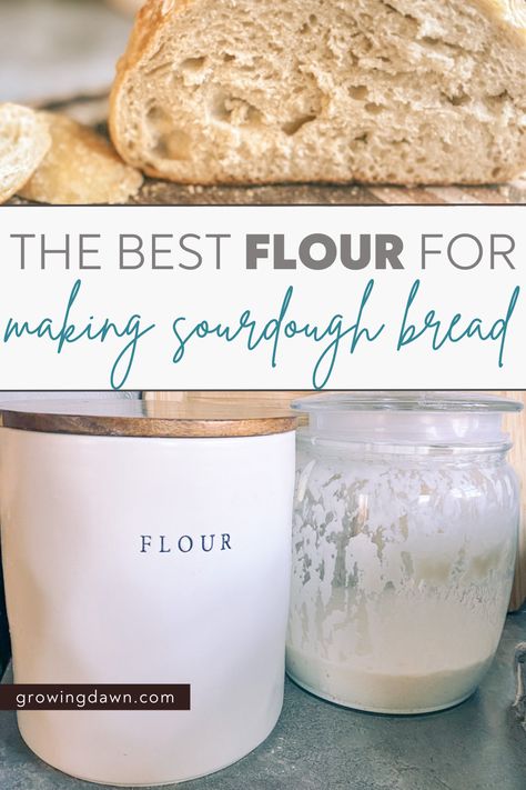 🍞✨ Master the art of sourdough baking with the ultimate guide to choosing the perfect flour! 🌾👩‍🍳 Discover the secrets behind selecting the right flour for your sourdough bread, from all-purpose to whole wheat. Elevate your baking game and achieve that perfect rise 🥖🔍 #SourdoughBread #FlourGuide #BakingTips #HomemadeBread #BreadRecipes Sourdough Starter Whole Wheat Flour, Organic Sourdough Bread, Best Flour For Sourdough Bread, Flour For Sourdough Starter, Best Flour For Sourdough Starter, Sourdough In Bread Machine, Sourdough Wheat Bread Recipe, Sourdough Bread Benefits, High Protein Flour