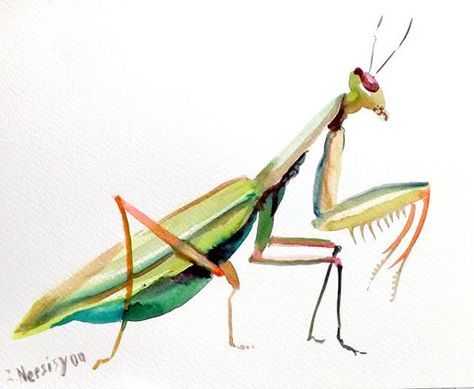 Praying Mantis original watercolor painting green by ORIGINALONLY, $24.00: Paintings Birds, Art Watercolor Insect Art Projects, Bomb Tattoo, Suren Nersisyan, Watercolor Birds, Painting Green, Bug Art, Dragonfly Art, Praying Mantis, Insect Art