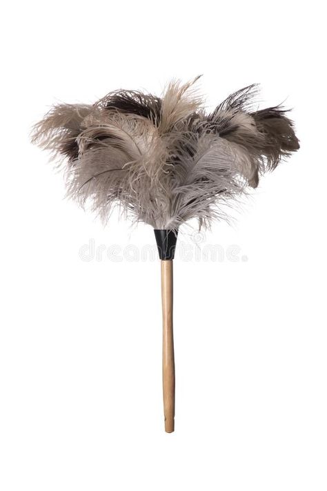 Ostrich Feather Duster. Gray ostriched feather duster with wooden handle on whit , #AFF, #Gray, #ostriched, #Duster, #Ostrich, #Feather #ad Feather Duster, Ostrich Feather, Photoshop Effects, Ostrich Feathers, Wooden Handles, Bobby Pins, Stock Photography, White Background, Photo Image