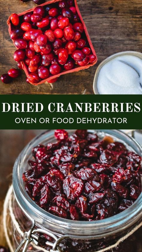 Fresh cranberries and granulated sugar before dehydrating into homemade dried cranberries in a jar. How To Dry Cranberries, Dry Cranberries, Make Shelf, Cranberry Uses, Dried Cranberries Recipes, Dehydrating Food Storage, Food Dehydration, Dehydrated Vegetables, Food Dehydrator