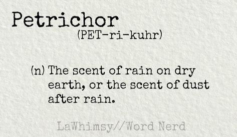 petrichor-definition-word-nerd-via-lawhimsy Petrichor Tattoo, First Rain, Dark Naturalism, Wise Person, Word Nerd, Word Definitions, River House, Writing Ideas, Word Of The Day