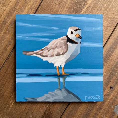 Piping Plover Art, Chris Firger, Piping Plover, Sea Gulls, Mini Canvas, Art Stuff, Bird Art, Piping, Animal Art