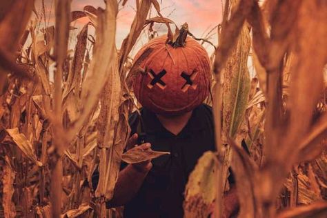 Jackolantern Head Costume, Pumpkin Head Design, Jackolantern Head Photoshoot, Pumpkin Head Poses, Pumpkin Head Photoshoot Solo, Pumpkin Head Carving Ideas, Pumpkin Head Ideas, Pumpkin Head Aesthetic, Pumpkin Head Costume