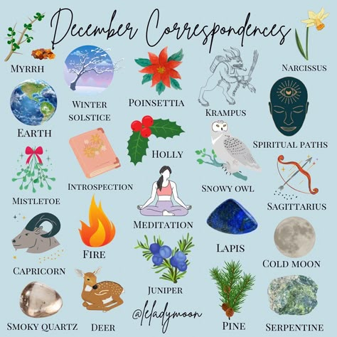 Awaken Your Inner Magic💎🌙 on Instagram: “Happy December, witches!❄️ Just posted the Planetary Forecast Calendar, Moon Phase Calendar & Moon and Mood Tracker printables for the…” December Witchcraft, December Correspondences, December Magic, Pagan Calendar 2023, Month Correspondence, Witchy Calander 2023, Cold Moon Correspondences, Flower Moon Correspondences, Month Magical Correspondences