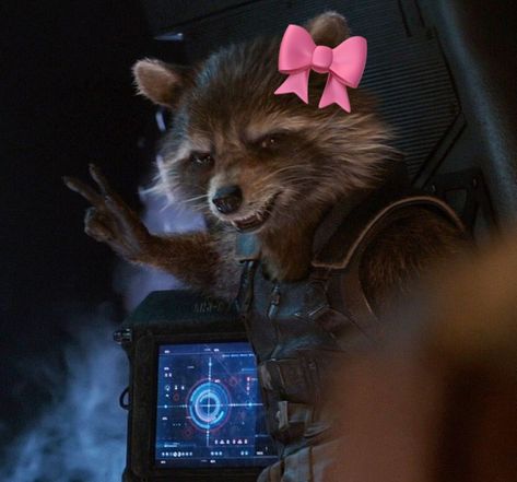 Rocket Gotg Icon, Rocket Pfp Mcu, Yondu Udonta Wallpaper, Guardians Of The Galaxy Rocket Memes, Rocket Galaxy Guardians, Guardians Of The Galaxy Room, Guardians Of The Galaxy Vol 3 Rocket, Rocket Raccoon Pfp, Rocket Raccoon Icon