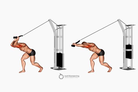 Cable Arm Exercises Overhead Tricep Extension Tricep Workout With Cables, Over Head Tricep Extension, Tricep Cable, Cable Tricep Pushdown, Tricep Cable Push Down, Overhead Cable Tricep Extension, Sweet Sweat Waist Trimmer, Tricep Pushdown, Overhead Tricep Extension