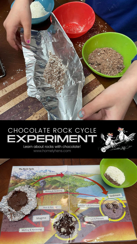 2nd Grade Rock Activities, Sedimentary Rocks Activities, Montessori Rock Activities, Geology Stem Activities, Geology Science Fair Projects, Geology Homeschool Unit, Geology Experiments For Kids, Geology Science Experiments, Rock Cycle Project Ideas