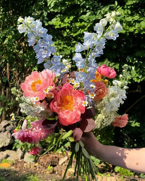 Juicy florals for a scorching weekend in London 🥵🌞 Feat. British grown peonies, delphiniums, feverfew, stocks, ranunculus and alstromeria. With roses from the garden. #juicyflorals #londonblooms #britishdelphiniums #gardenroses #britishranunculus #britishalstromeria Delphinium Flower Bouquet, Vintage Garden Parties, Weekend In London, Bloom Where Youre Planted, Peonies Garden, Nothing But Flowers, Peonies Bouquet, Flower Therapy, Pretty Plants