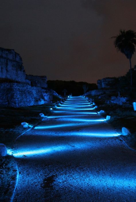 Landscape lighting-this is very cool people!                                                                                                                                                                                 More Image Bleu, Driveway Lighting, Solar Landscape Lighting, Landscape Lighting Design, Solar Landscape, Outdoor Landscape Lighting, Urban Lighting, Backyard Lighting, Bollard Lighting