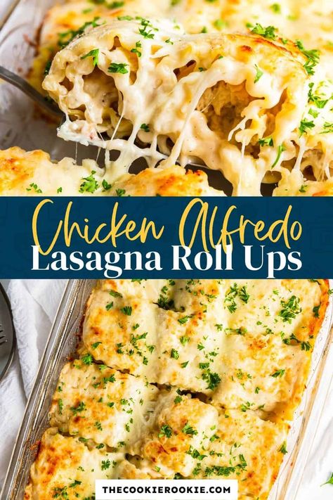 Chicken Alfredo lasagna roll ups are fun to make and even more fun to eat! They're the perfect easy weeknight dinner! Marry Me Chicken Pasta Rolls, Chicken Lasagna Roll Ups Easy, Chicken Bacon Ranch Lasagna, Chicken Alfredo Roll Ups, Chicken Alfredo Lasagna Rolls, Chicken Alfredo Lasagna Roll Ups, Alfredo Lasagna Rolls, Alfredo Lasagna Roll Ups, Chicken Alfredo Lasagna Recipe