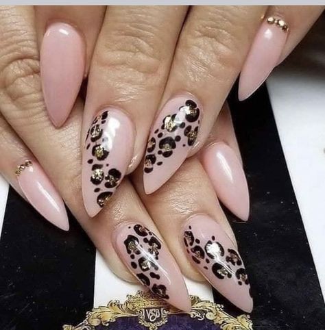 Leopard Nail Designs, Cheetah Nails, Classy Nail Designs, Leopard Print Nails, Print Nails, Leopard Nails, Animal Nails, Animal Print Nails, Classy Nails