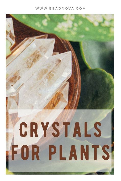 Crystals For House Plants, Crystals To Help Plants Grow, Crystals For Plants Health, Crystals In Plants, Crystals And Healing, Crystals For Plant Growth, Crystals For Plants, Spiritual Plants, Crystals 101