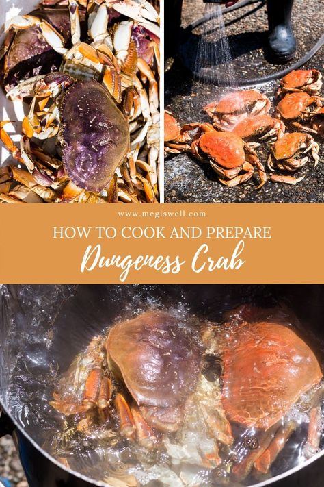 How To Cook Dungeness Crab, Crab Video, Cooking Dungeness Crab, Dungeness Crab Legs, Crab Boil Recipe, Dungeness Crab Recipes, Crab Recipe, Crab Cake Recipes, How To Cook Liver