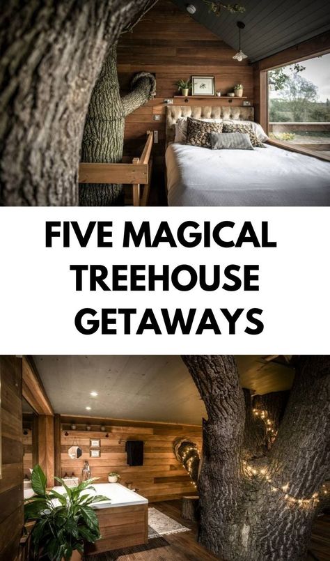 This English treehouse is built in a 500-year-old oak tre Real Tree House Homes, Tree Houses To Live In, Livable Tree Houses, Treehouse Aesthetic, Treehouse Kitchen, Romantic Treehouse, Treehouse Bedroom, Magical Treehouse, Treehouse Resort