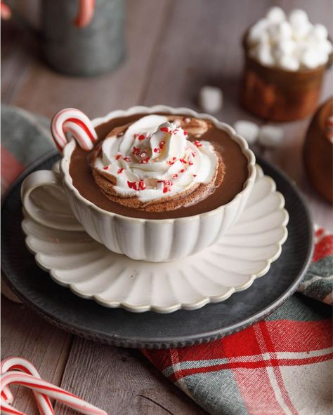 This super easy Peppermint Hot Chocolate is perfect for the Holiday season! It's the peppermint version of a hot cocoa mix, but make it homemade! topped with whipped cream and crushed peppermint candies, it's made in only one step once you have all of your ingredients ready to use #bestpepperminthotchocolate #hotchocolateandpeppermint #howtomakepepperminthotchocolate Peppermint Hot Chocolate Recipe, Crushed Peppermint, Classic Hot Chocolate, Healthy Hot Chocolate, Recipe Developer, Peppermint Hot Cocoa, Peppermint Candies, Hot Cocoa Mix, Cocoa Recipes