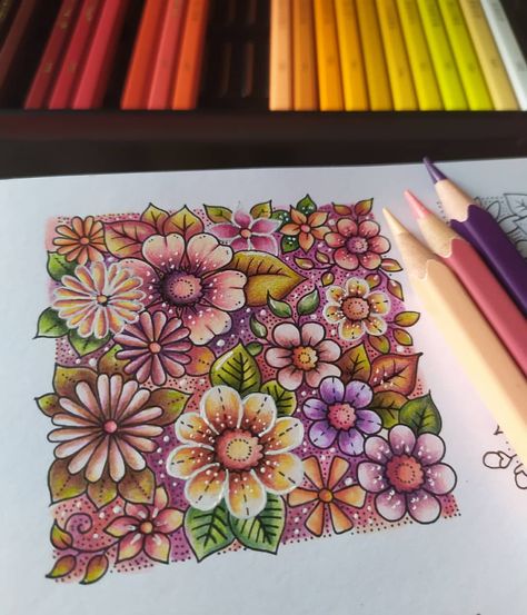 Johanna Basford Worlds Of Wonder, Pencil Shading Techniques, Johanna Basford Books, Joanna Basford Coloring, World Of Flowers, Joanna Basford, Johanna Basford Coloring Book, World Of Wonder, Colored Pencil Set