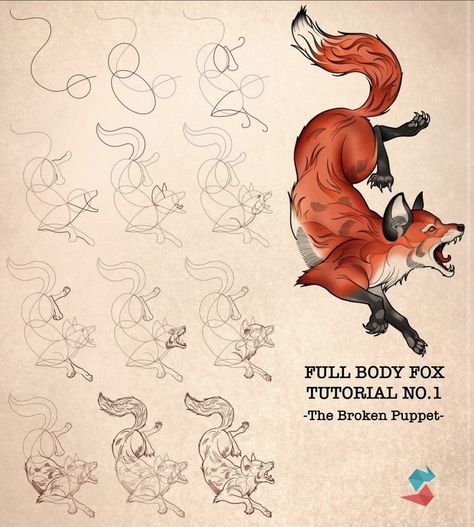 Traditional Tattoo Tutorial, Fox Drawing Tutorial, Fox Poses, Procreate Tattoo Brushes, Drawing Fundamentals, Tattoo Space, Traditional Tattoo Drawings, Procreate Tattoo, Learn To Tattoo