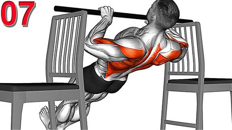 At Home Back Exercises, Home Back Exercises, Back Workouts At Home, Back Exercises At Home, Best Back Exercises, Exercises Back, Back Workout Men, Gym Back, Back Workout At Home