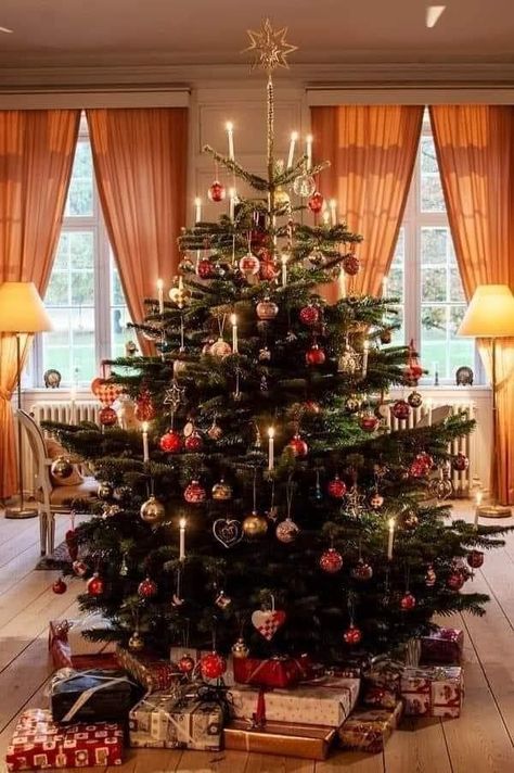 Nordmann Fir Christmas Tree, Easy Diy Christmas Decorations, Ugly Christmas Tree, Christmas Tree Inspo, Hate Christmas, Danish Christmas, Fir Christmas Tree, Dark Christmas, Cosy Christmas