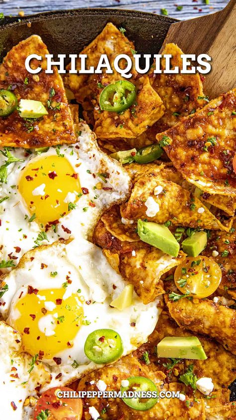 Chilaquiles Rojos looking extremely inviting Chilicillies Recipe Mexican, Camping Chilaquiles, Chilicillies Recipe, Chiliquillas Recipe With Chips, Chili Quiles, Chili Quiles Recipes, Chile Quilles Recipe, Chiliquillas Recipe Breakfast, Chillaquilles Recipe