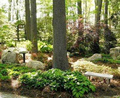 Wooded Backyard Landscape, Natural Gardens, Messy Garden, Woodland Gardens, Serene Garden, Natural Landscaping, Wooded Landscaping, Backyard Landscape, Garden Maintenance