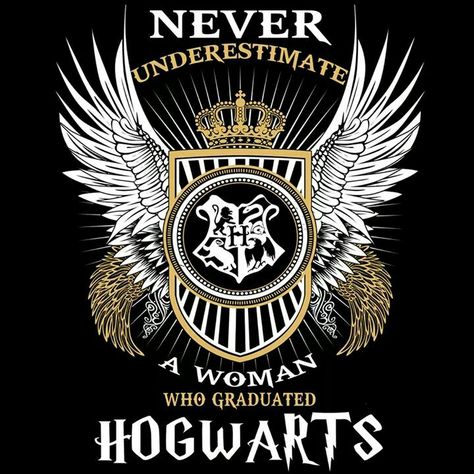 Hogwarts Alumni, Harry Potter Hogwarts, Hogwarts, Supernatural, Harry Potter