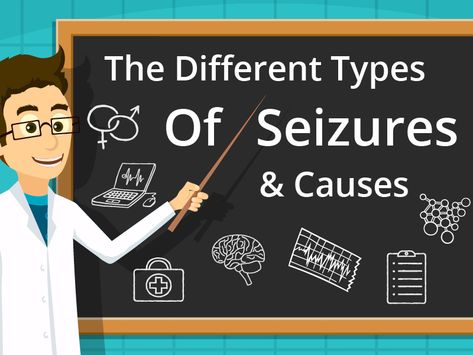 There are over a dozen different forms of seizures, and the disorder tends to affect each individual differently. Here's a guide to help you navigate them! Seizures Non Epileptic, Absence Seizures, Types Of Seizures, Dravet Syndrome, Seizures Awareness, Nerve Cell, Neurological Disorders, Neurology, Nursing Study