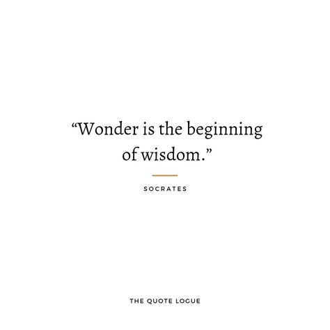 Female Philosophers Quotes, Ancient Greek Quotes Philosophy, Ancient Quotes Philosophy, Greek Philosophers Quotes, Intellectual Quotes Deep, Phylosofical Quotes Short, Greek Philosophy Aesthetic, Philosophy Quotes Deep Thoughts, Morality Quote