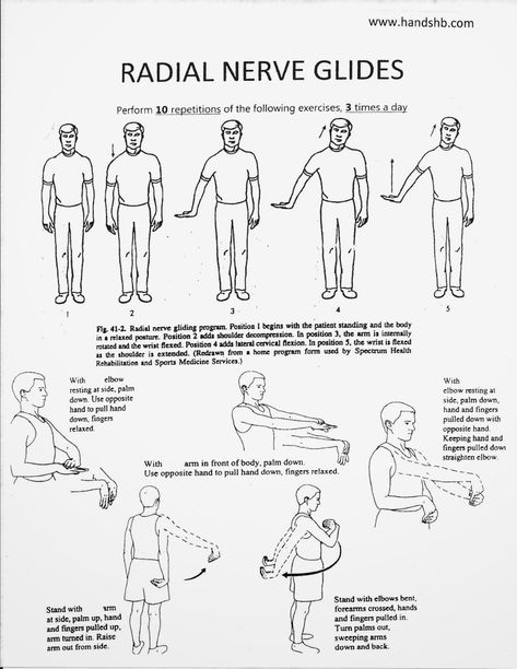 Nerve Glides, Hand Therapy Exercises, Punkty Spustowe, Radial Nerve, Pt School, Hip Opener, Occupational Therapy Assistant, Workout Hiit, Home Exercise Program