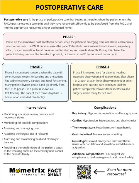 Postoperative Nursing Care, Post Operative Nursing Care, Surgical Drains Nursing, Preoperative Nursing Care, Post Anesthesia Care Unit, Post Op Nursing Care, Pacu Nursing Medications, Conscious Sedation Nursing, Peri Operative Nursing