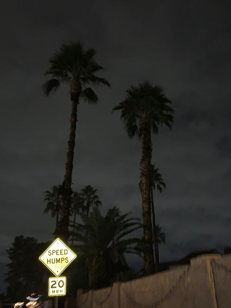 Dark California Aesthetic, California Gothic, Dark Americana Aesthetic, California Gothic Aesthetic, 80s California Aesthetic, Dark Los Angeles Aesthetic, Rainy California Aesthetic, Grunge California Aesthetic, California Aesthetic Night