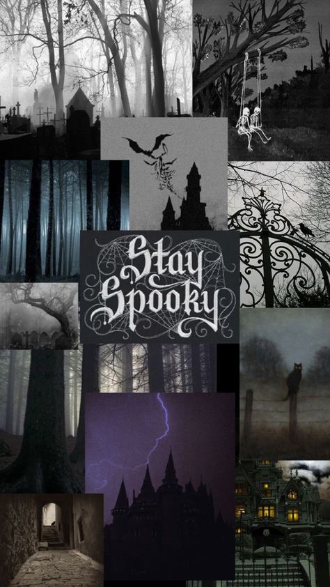 Halloween Wallpaper Creepy, Fall Witchy Wallpaper, Spooky Wallpaper Iphone Aesthetic, Halloween Wallpaper Homescreen, Spooky Wallpaper Aesthetic, Halloween Ipad Wallpaper, Black Halloween Wallpaper, Witchy Wallpaper Iphone, Spooky Wallpaper Iphone