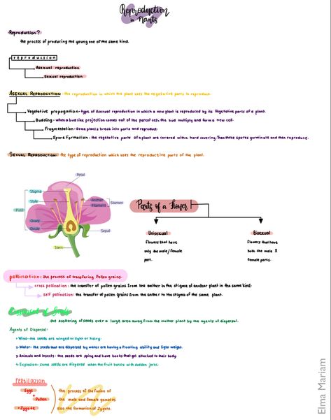 Notes on Reproduction in plants | Elma Mariam | 7th Grade | Notability Reproduction In Plants Notes, Asexual Reproduction Notes, Reproduction Notes, Asexual Reproduction In Plants, Reproduction In Plants, Lesson Notes, Biology Diagrams, Biology Plants, 7th Grade Social Studies