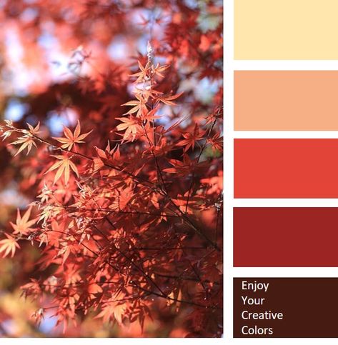 Chinese Restaurant Color Palette, Red Color Pallete Aesthetic, Chinese New Year Colour Palette, Ramen Color Palette, Chinese New Year Color Palette, Nora Aesthetic, Chinese Color Palette, Red Color Pallets, Color Seeds