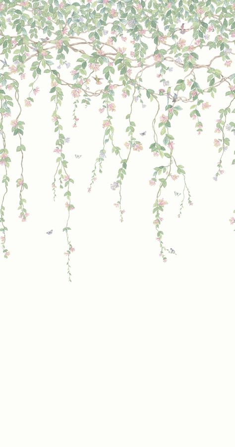 Browse All Luxury Wallpapers - Cole & Son Green Flower Wallpaper, Hummingbird Wallpaper, Hummingbird Perch, Botanical Interior, Flower Vines, Background Flower, Sea Wallpaper, Cream Wallpaper, Flower Background Wallpaper